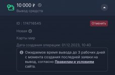 IMG_1993.jpeg