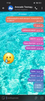 Screenshot 2024 02 04 17 22 34 49 948cd9899890cbd5c2798760b2b95377