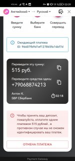 Screenshot_20240519_000940_com.yandex.browser.jpg