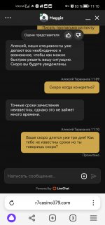 Screenshot_20240521_111008_com.yandex.browser.jpg