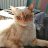 egor2222
